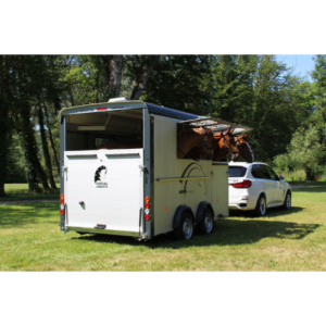 Van cavalli Cheval Liberté Minimax (3 posti diagonali)